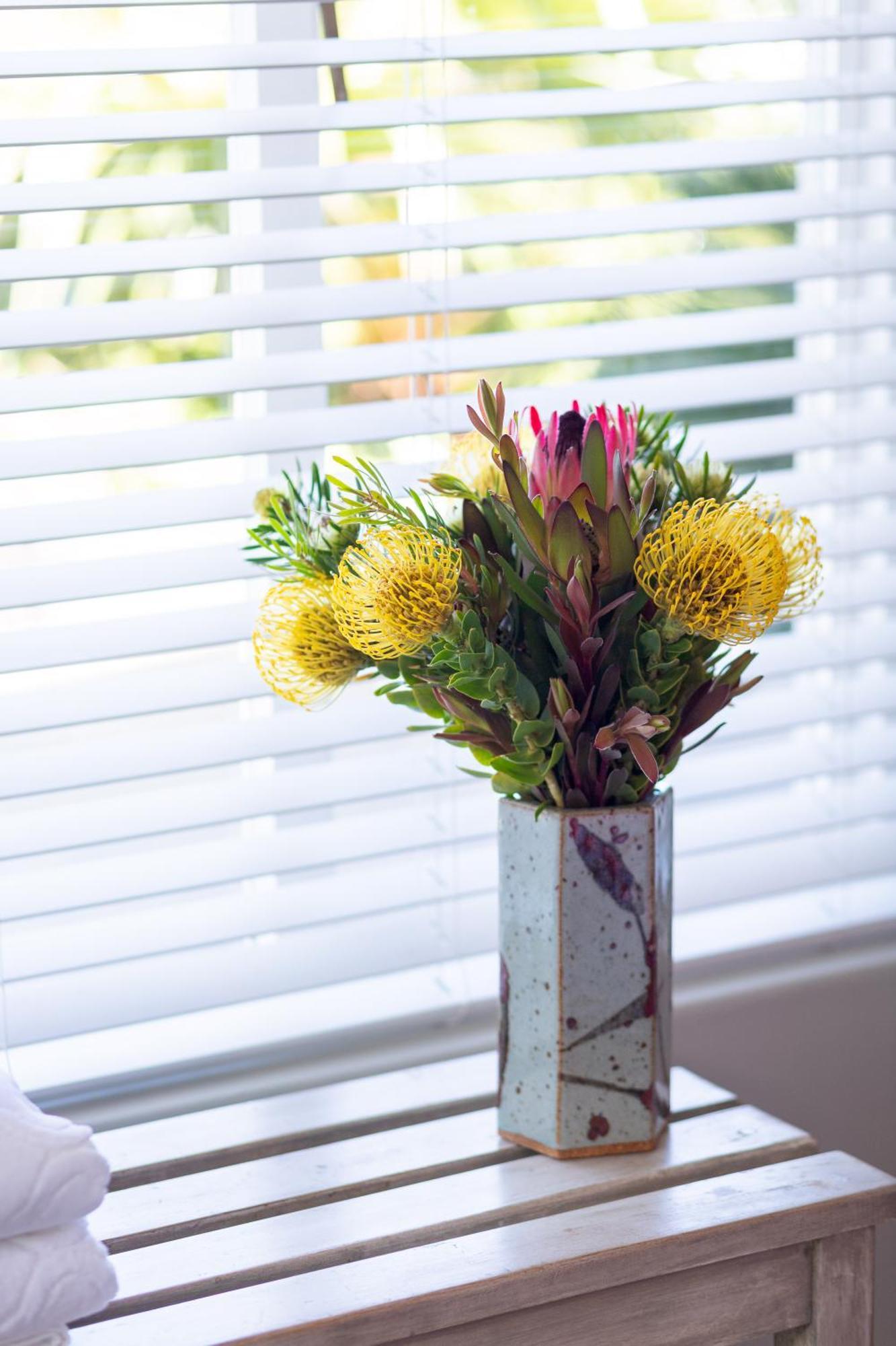 Protea & Pincushion Cottages Hermanus Dış mekan fotoğraf